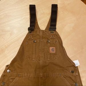 Carhartt Men's Duck Bib Overalls